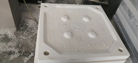 PP Membrane Customized Filter Plate
